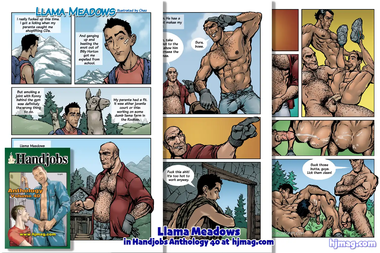 Llama Meadows in Anthology 40
